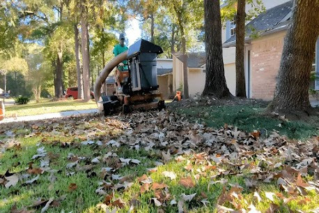 Is Your Yard Ready For Late-Season Leaf Cleanup In TX?