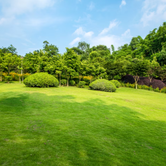 Zazueta Landscape: San Jose’s Trusted Landscaping Experts