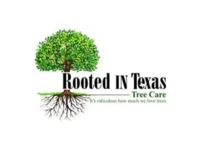 Rooted In Texas Tree Care Marks 50 Customer Reviews on Google