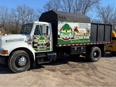 93% of Woodbridge Properties Face Wind Risk; Tino’s Tree Service VA Offers Quick Help