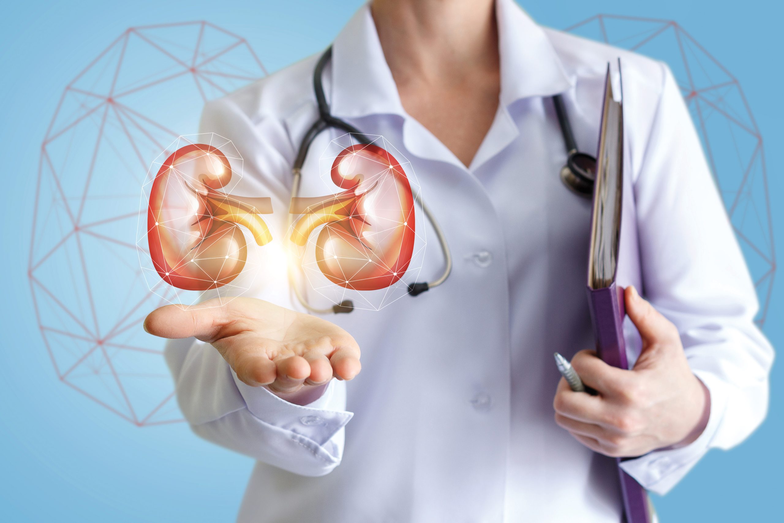 5 Rare Kidney Diseases You May Not Know About