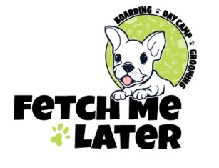 Fetch Me Later Hosts Holiday ‘Presents for Pups’ Toy Drive