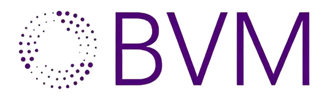 BVM Offers Specialized SEO Services for Energy and Engineering Firms