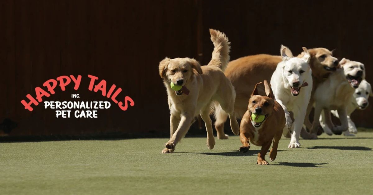 By Popular Demand: Happy Tails Brings Back Expert Dog Training to St. Ann