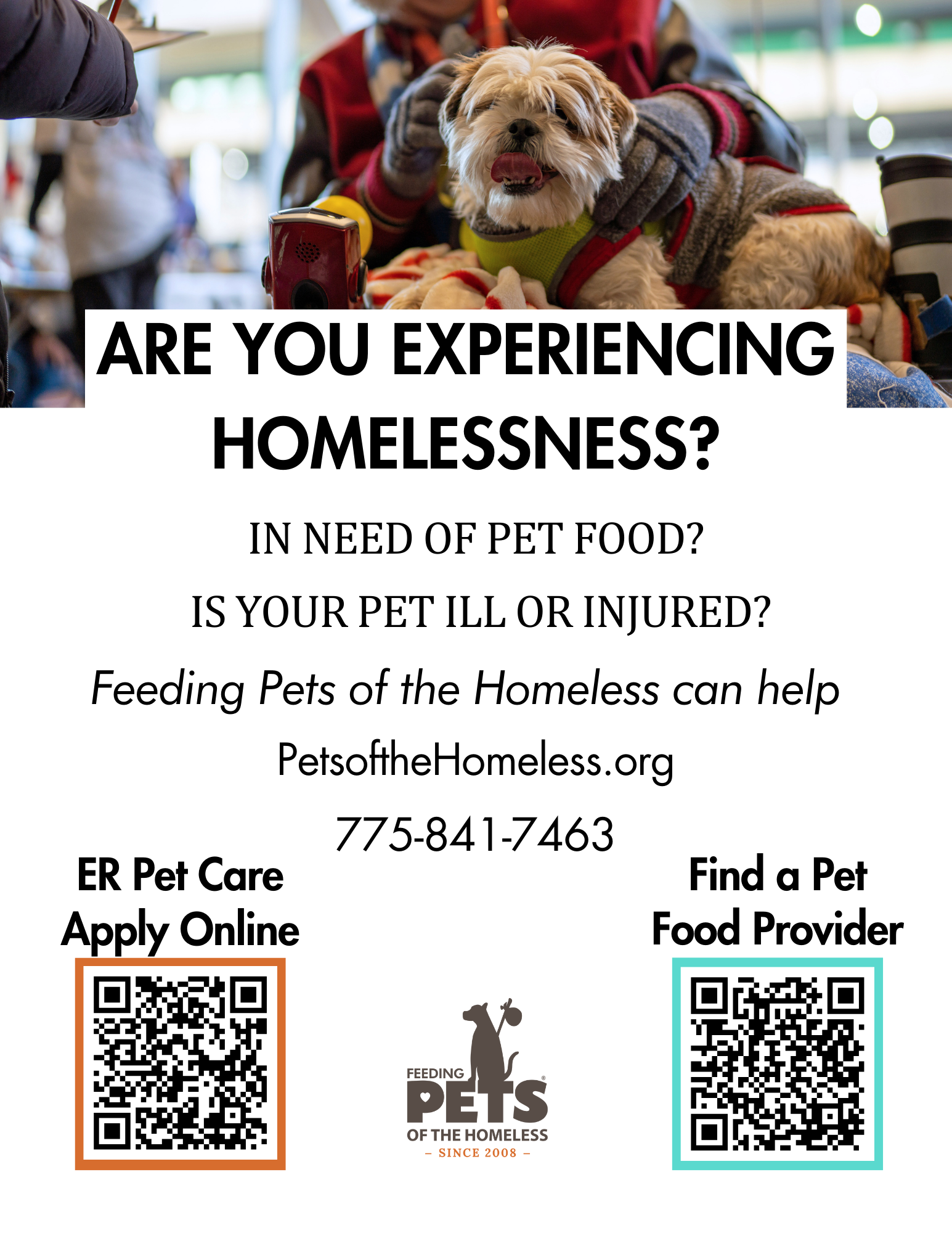 Feeding Pets of the Homeless Launches Online Application System for Emergency Veterinary Care