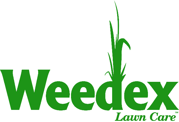 Weedex Lawn Care Marks 24 Years Serving Dallas-Fort Worth Homeowners