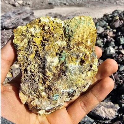 Grande Plata Showing Strong Silver Results