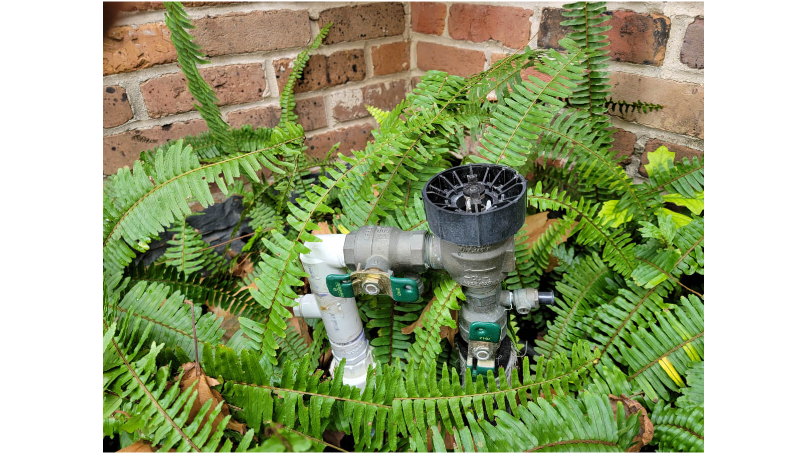 2026 Pricing Revealed: New Orleans Backflow Certification Costs + Process