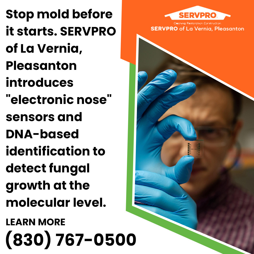 SERVPRO® of La Vernia, Pleasanton advances professional mold removal standards