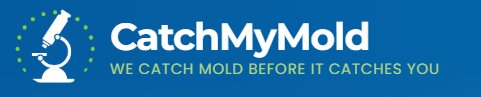 Catch My Mold Strengthens Mold Inspection Support for Los Angeles County Homes and Businesses