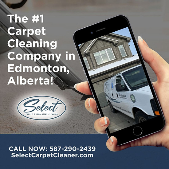 Edmonton Carpet Cleaning Service Reveals Hidden Allergens in Sealed Homes