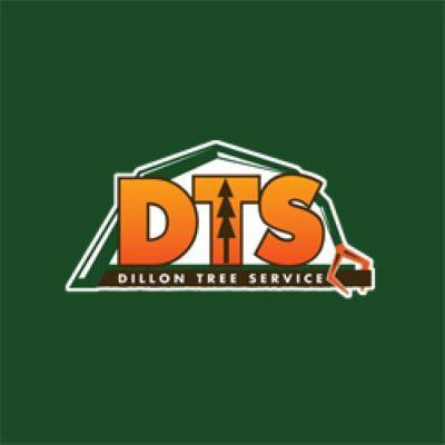 Tree Trimming vs. Tree Removal: Guidance from a Trusted Tree Company