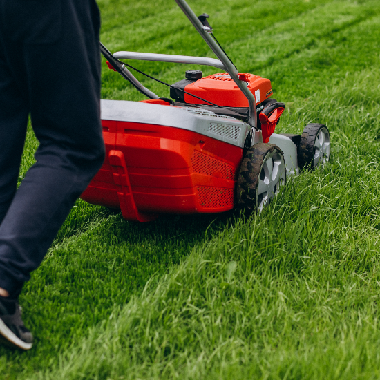 Taylor Anthony 365: Ponte Vedra’s Trusted Landscaping Experts