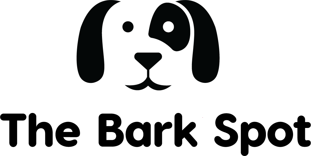 Safeguarding Dog Paws and Coats During Layton, UT Winters