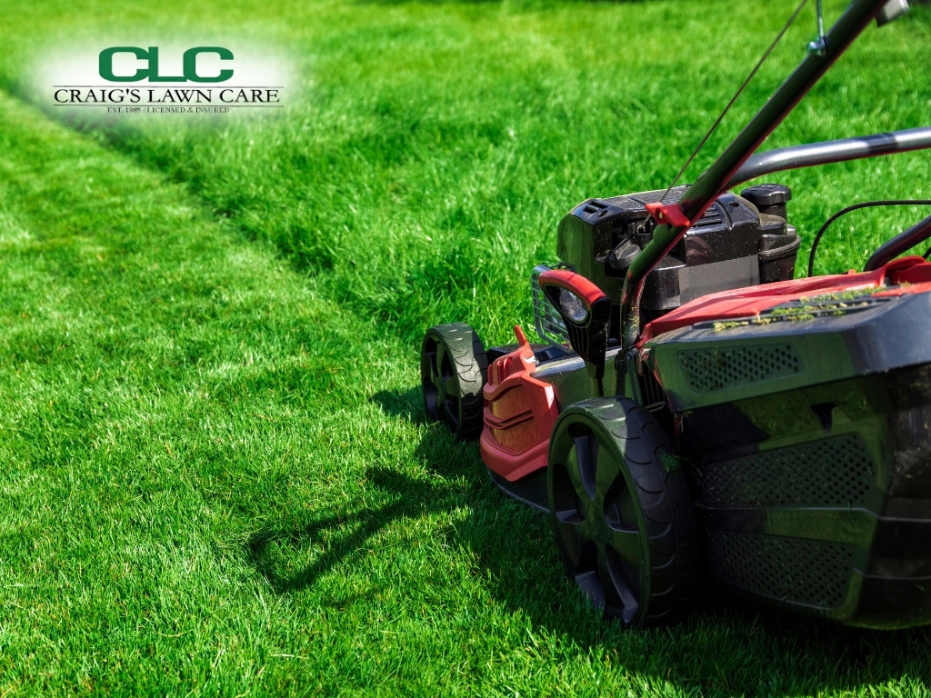 Craig’s Lawn Care Earns Trust as the Go-To Lawn Care Service for Homeowners