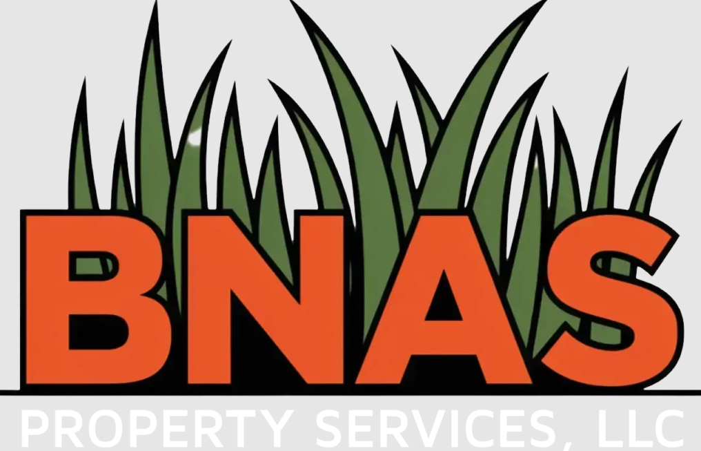 Why Clearing Lots Early Is Key to Successful Property Development