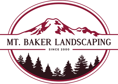 How a Local Excavation Contractors in Bellingham, WA Supports Summer Projects