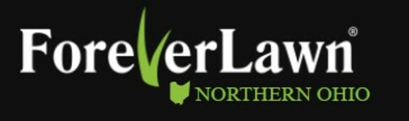 ForeverLawn Northern Ohio: Transforming Outdoor Spaces with Versatile Landscape Grass