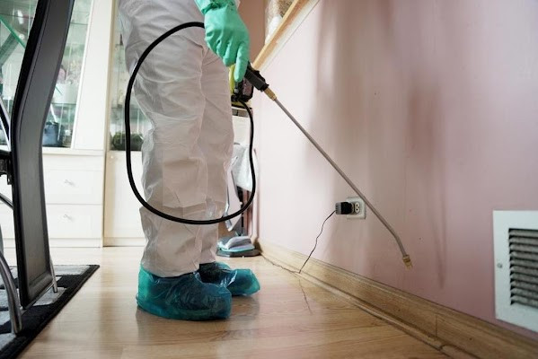 Safe Pro Pest Control Brings Trusted Pest Control to Dallas, Plano and McKinney