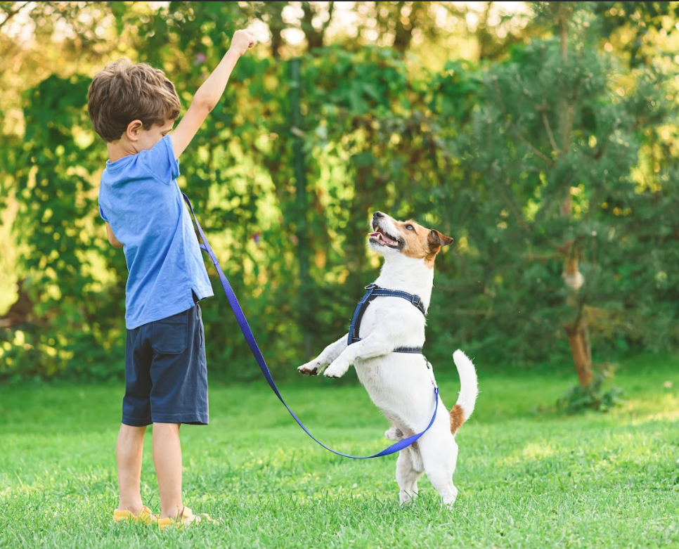 Private Pile Expands Residential Pet Waste Removal Services in Oklahoma City