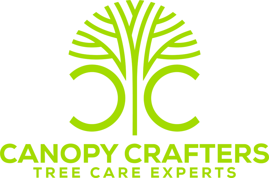 Why Palm Tree Pruning in Lutz, FL Is Essential for Safety and Curb Appeal