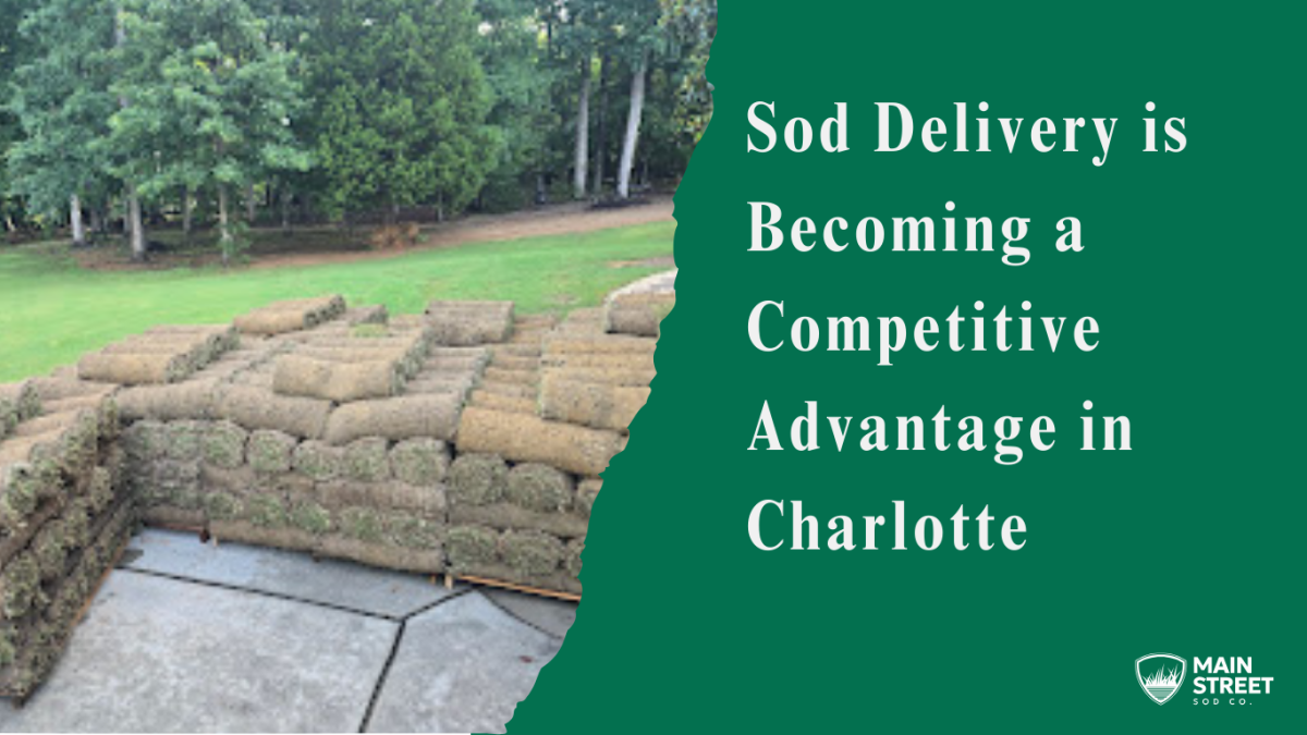 Sod Delivery is Becoming a Competitive Advantage in Charlotte