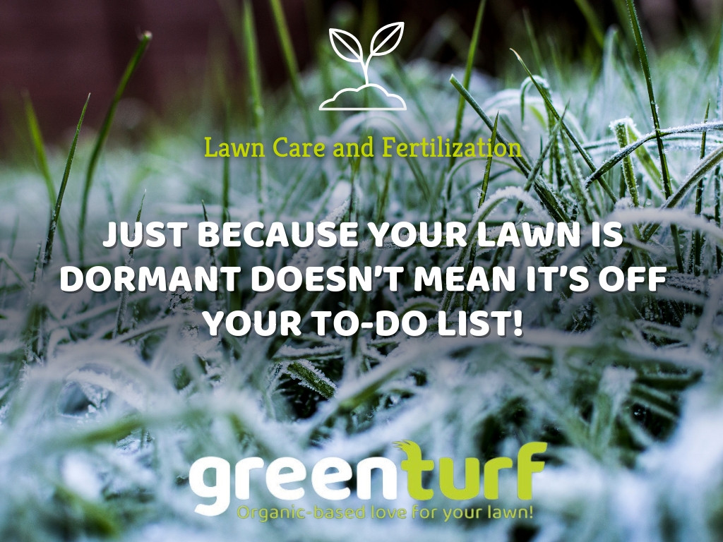 GreenTurf Becomes a Trusted Choice for Organic Lawn Care in Connecticut