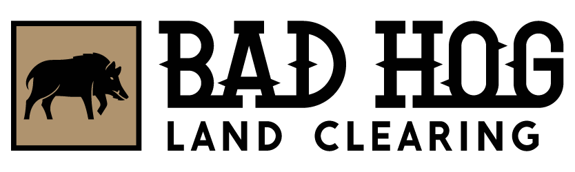 How Land Clearing Prepares San Marcos Properties for Building