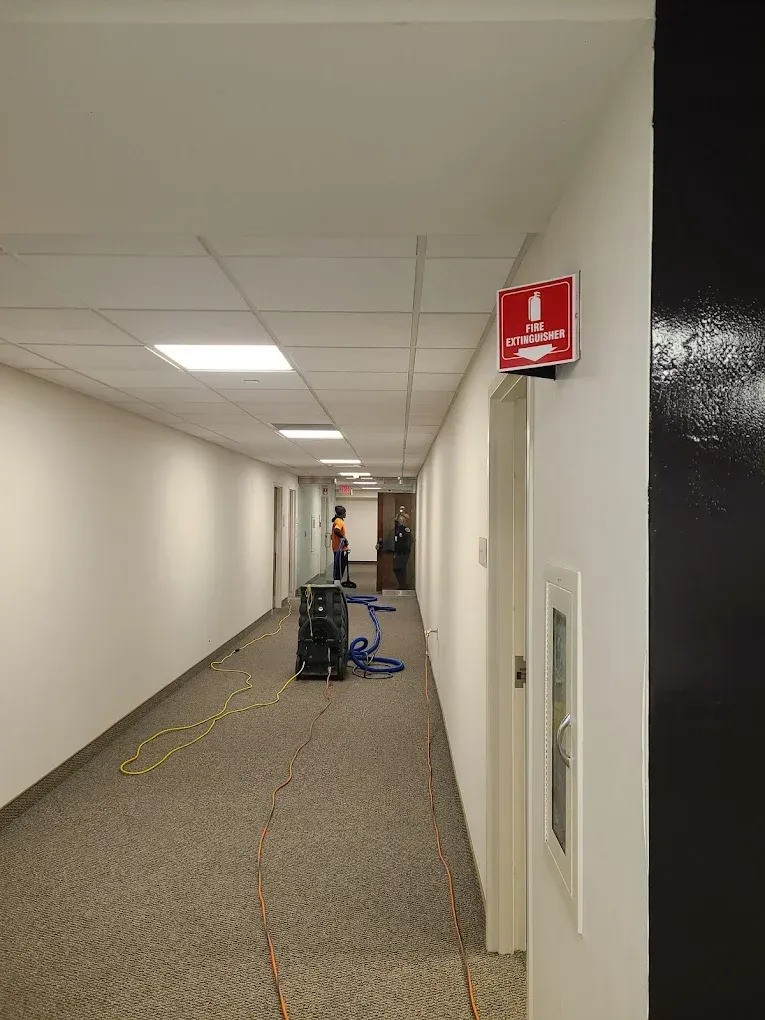 Cincinnati Customers Praise Fast Water Damage Restoration Services