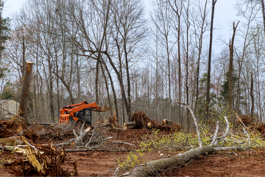 Daily Landscaping Brings Major Benefits to Land Clearing in Pittsburgh & NW PA