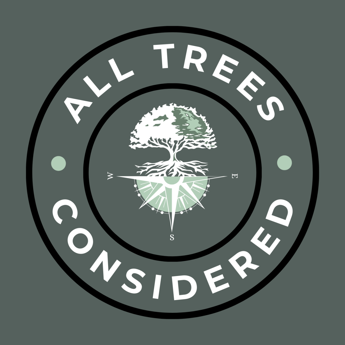 Emergency Tree Removal in Chardon, OH: When a Tree in Your Yard Is Ready to Fall