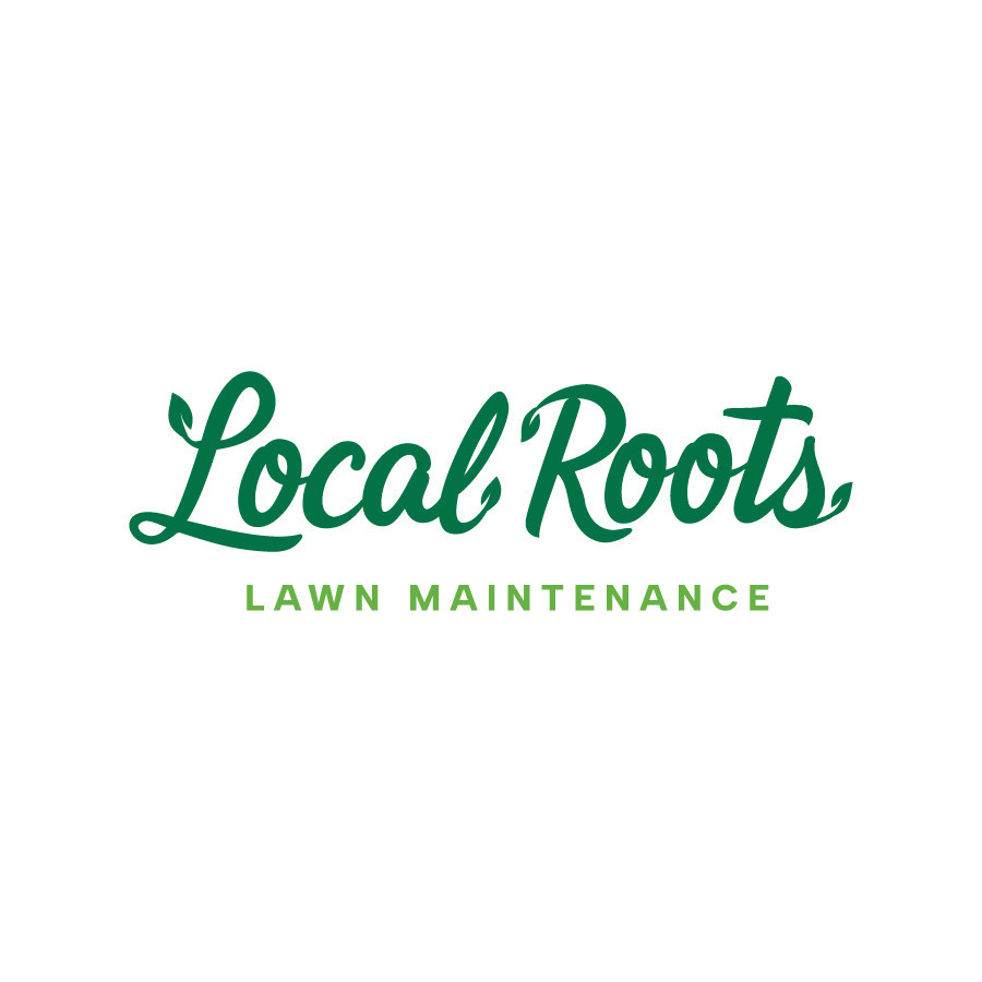 Top February Lawn Maintenance Tips for a Strong 2026 Lawn in Georgetown, TX