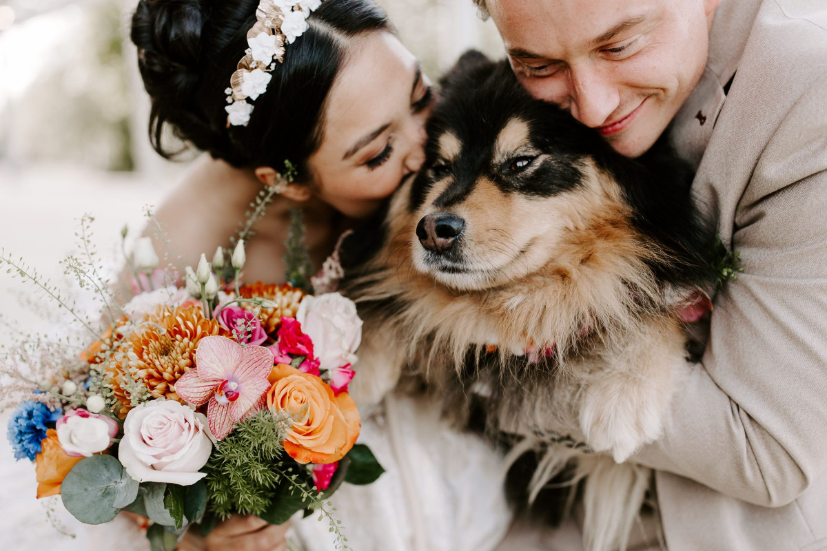 Local Photographer Reveals 2026 Wedding Venue Trends for the North East