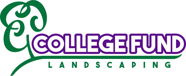 Lawn Maintenance vs DIY Care for Healthier Plano Lawns