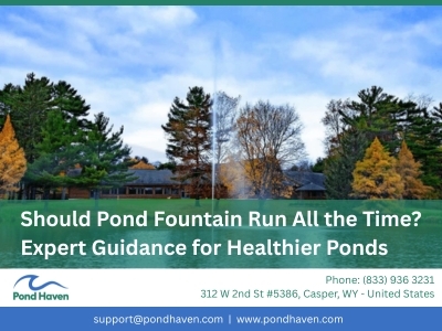 Should Pond Fountain Run All the Time? Expert Guidance for Healthier Ponds