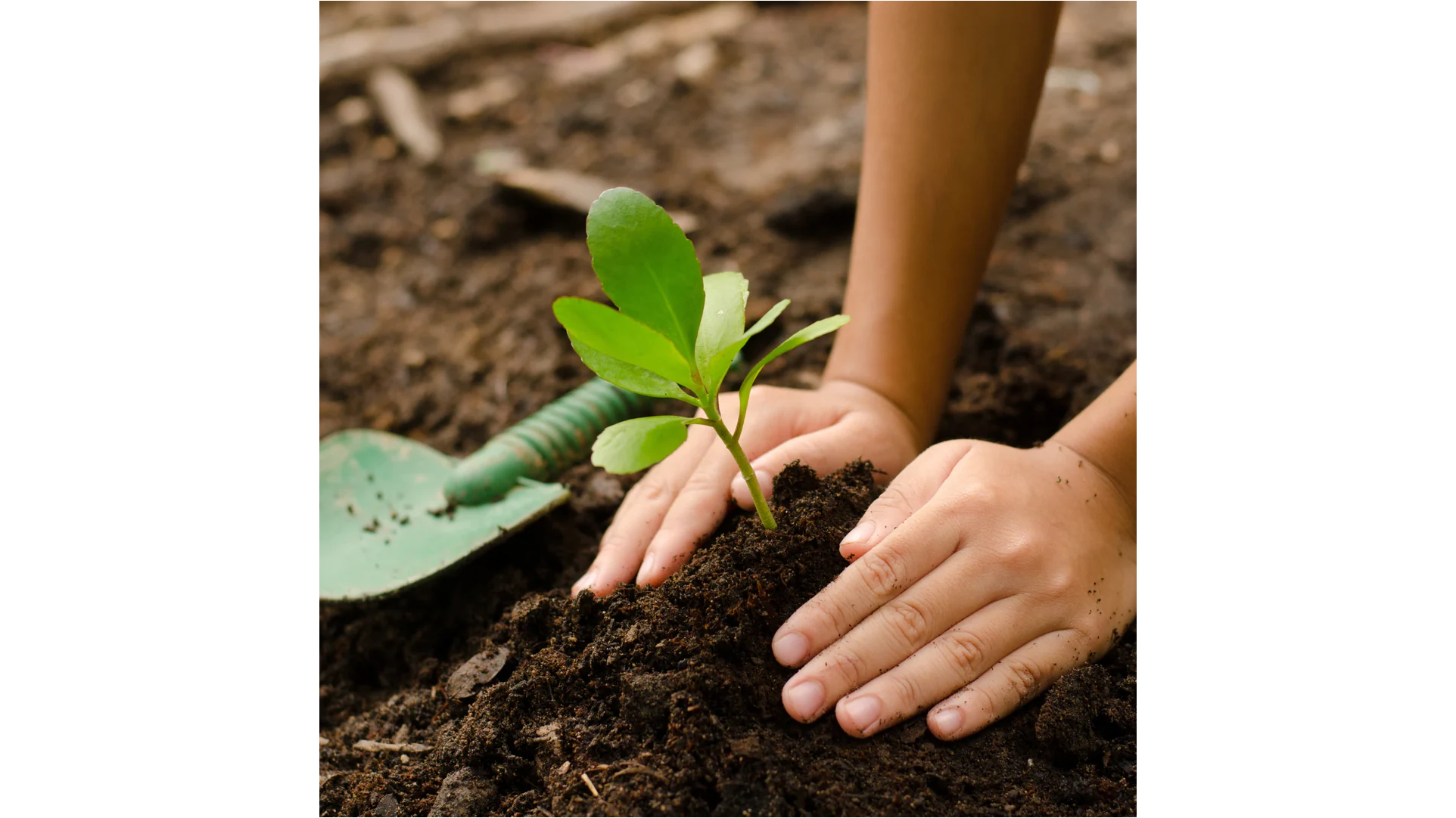 Spray-On Liquid Aerator Lawn Health Treatment For Compacted Clay Soil Announced