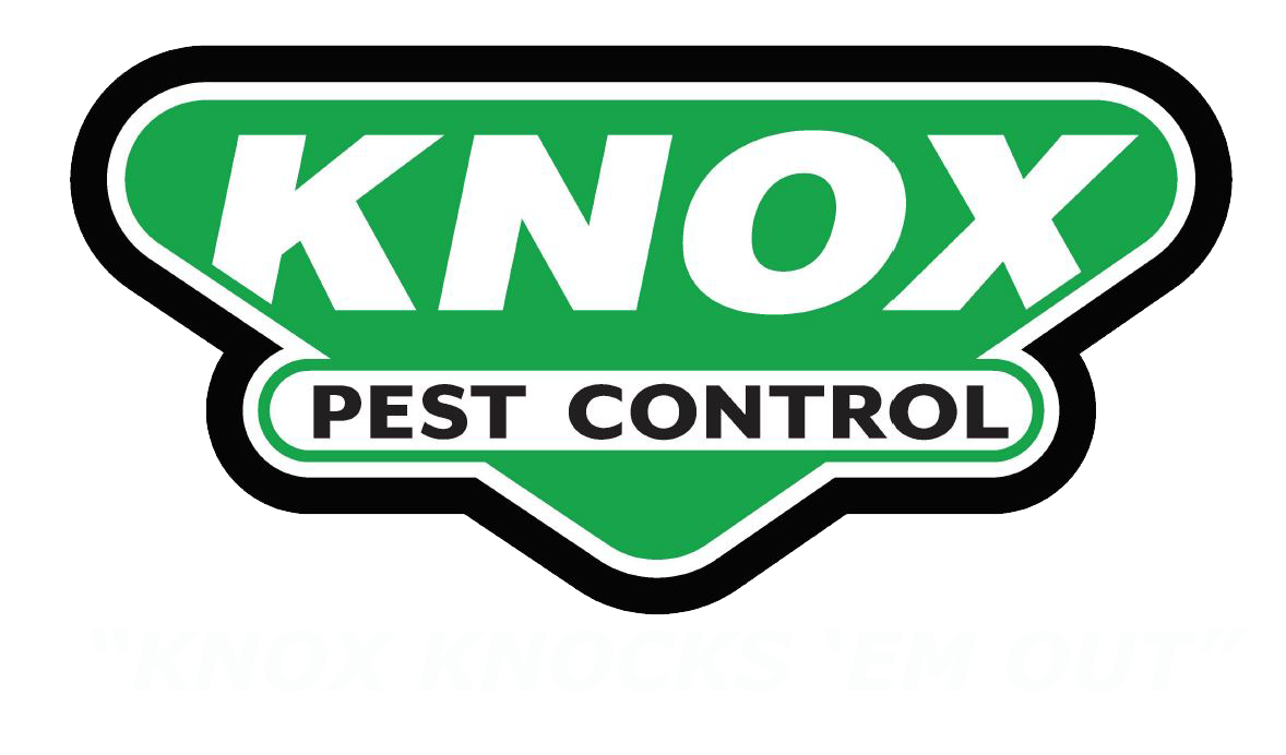 Justin Knox of Knox Pest Control Highlights Key Trends Affecting Homes, Health, and Peace of Mind
