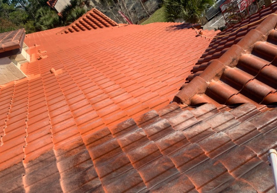 As New Again Explains the Best Ways on How to Keep Your Tile Roofs Clean