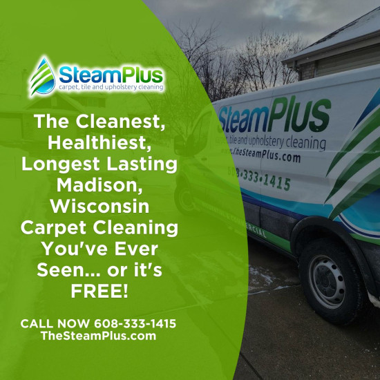 Expert Carpet Cleaning Service Madison WI Fights Hidden Allergens in Homes