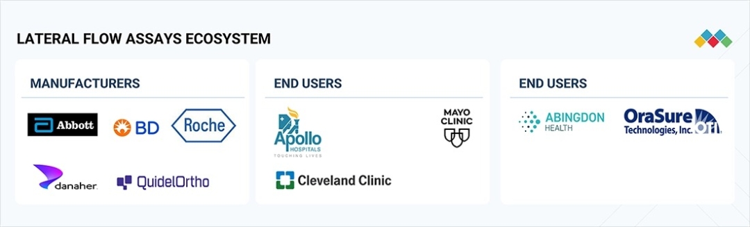 Lateral Flow Assays Market to Reach USD 12.52 Billion by 2030