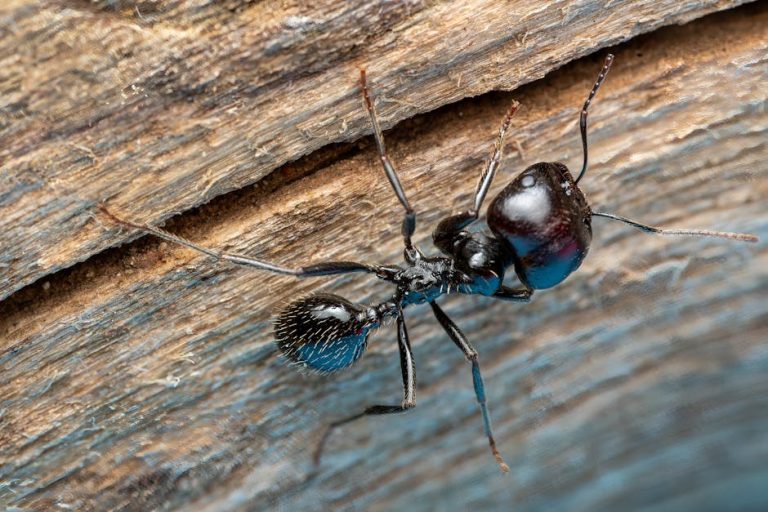 Featured image for Auto-prepared featured image